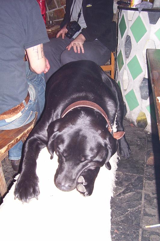100_0141.jpg
