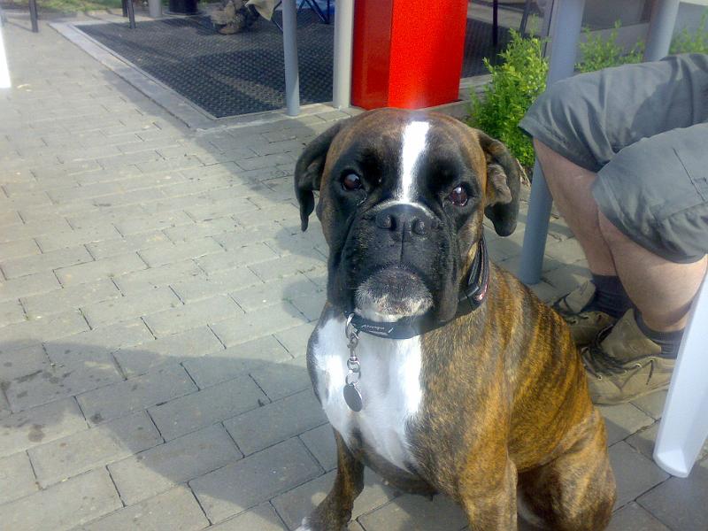02062007177.jpg
