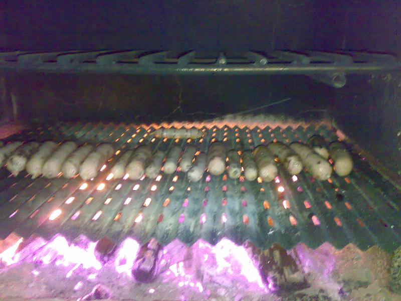 10082007323.jpg