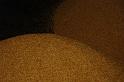 DSC01924